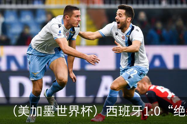 （美加墨世界杯）西班牙1:0“绝杀”葡萄牙 C罗结束世界杯征程